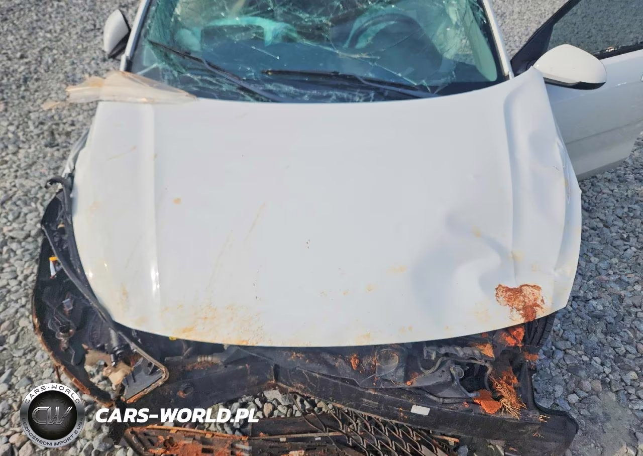 2020 Kia Rio Lx VIN:3KPA24ADXLE330232 - 11