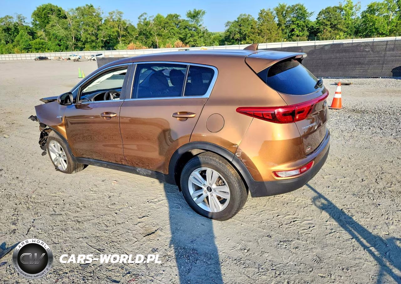 2017 Kia Sportage Lx VIN:KNDPMCAC7H7144693 - 2