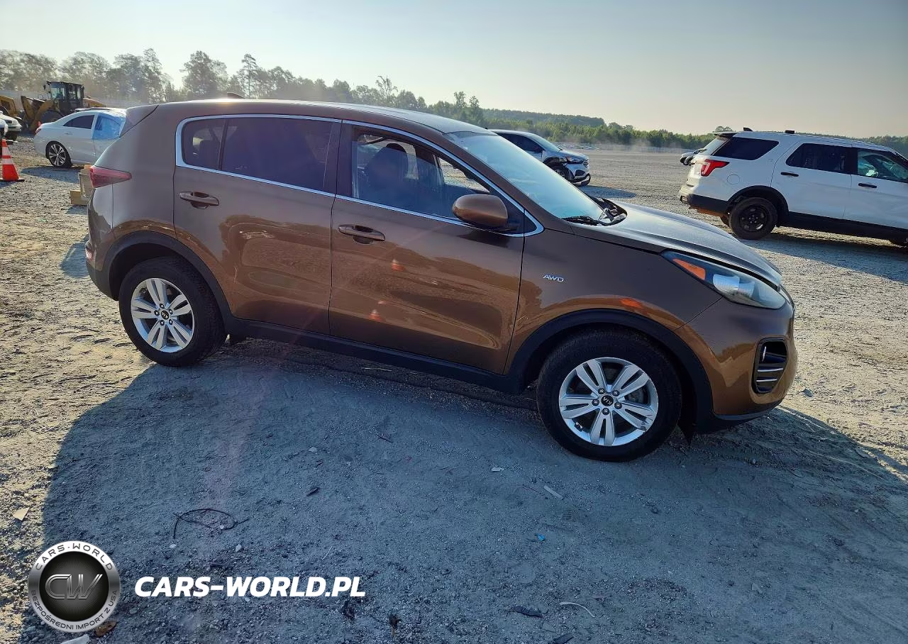 2017 Kia Sportage Lx VIN:KNDPMCAC7H7144693 - 4