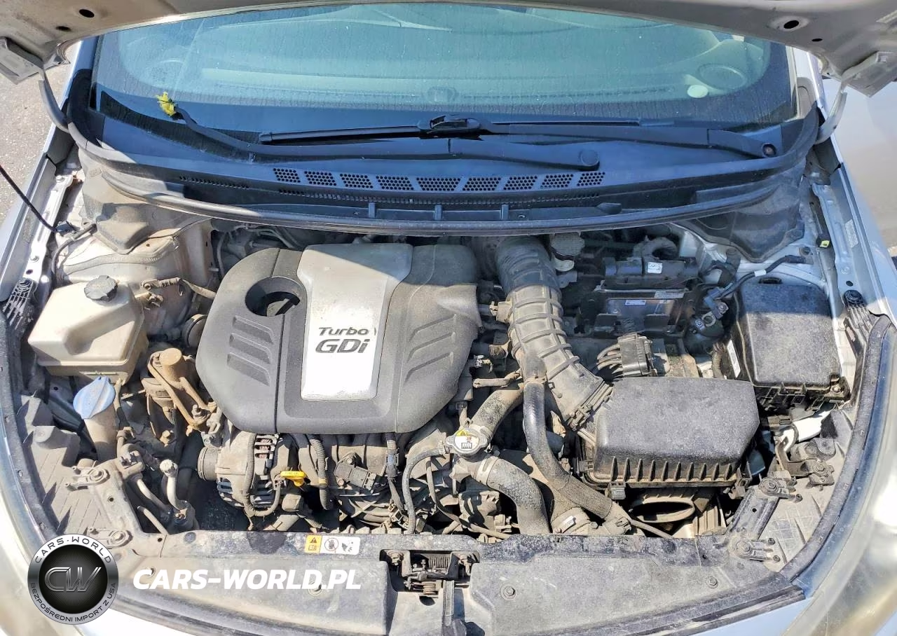 2015 Kia Forte Sx VIN:KNAFZ5A39F5298661 - 11
