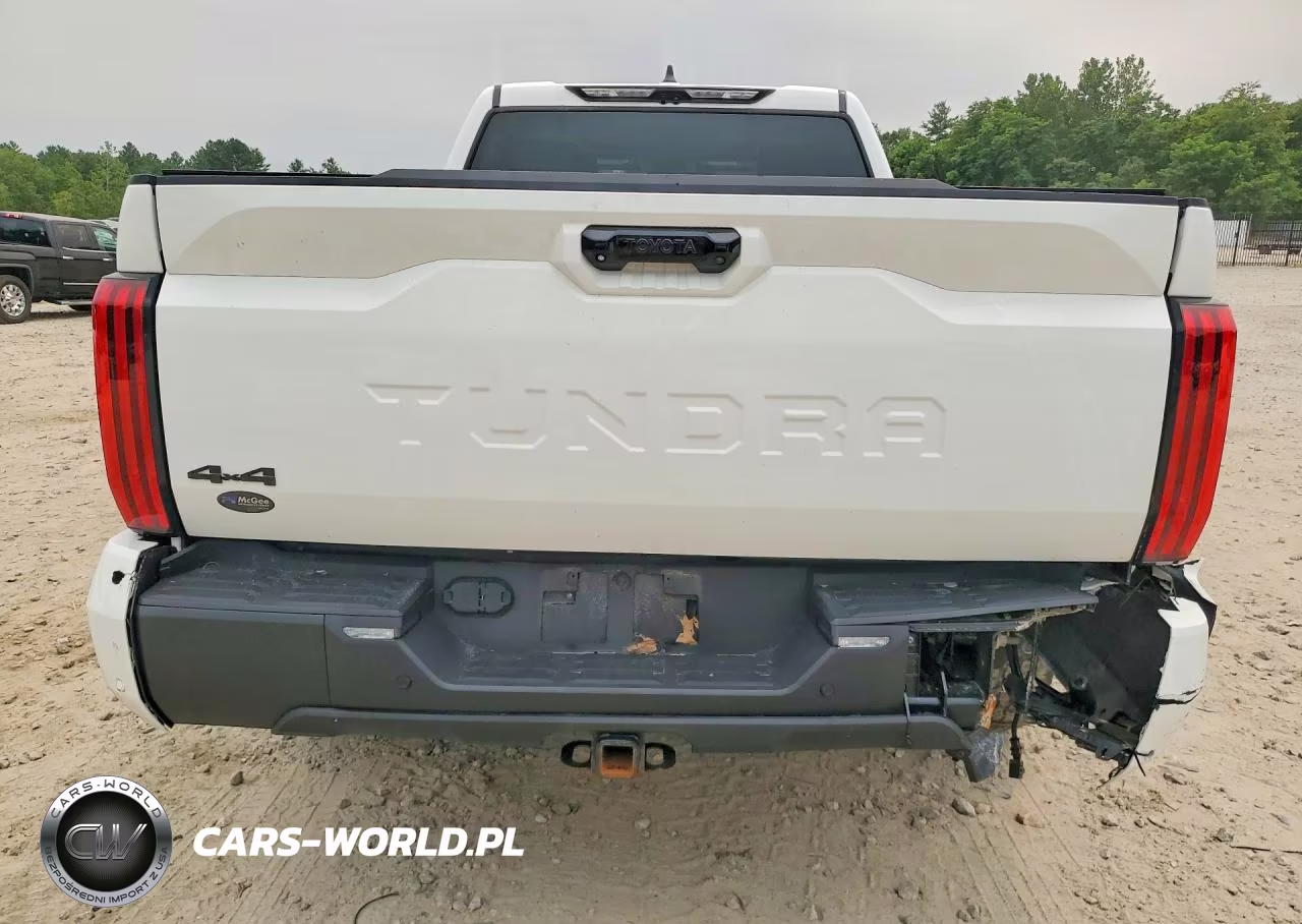 2024 Toyota Tundra Limited VIN:5TFWA5EC8RX025773 - 6