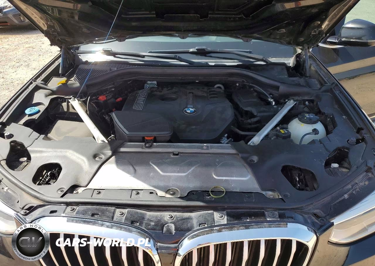 2019 BMW X3 Sdrive30I VIN:5UXTR7C57KLF24008 - 12