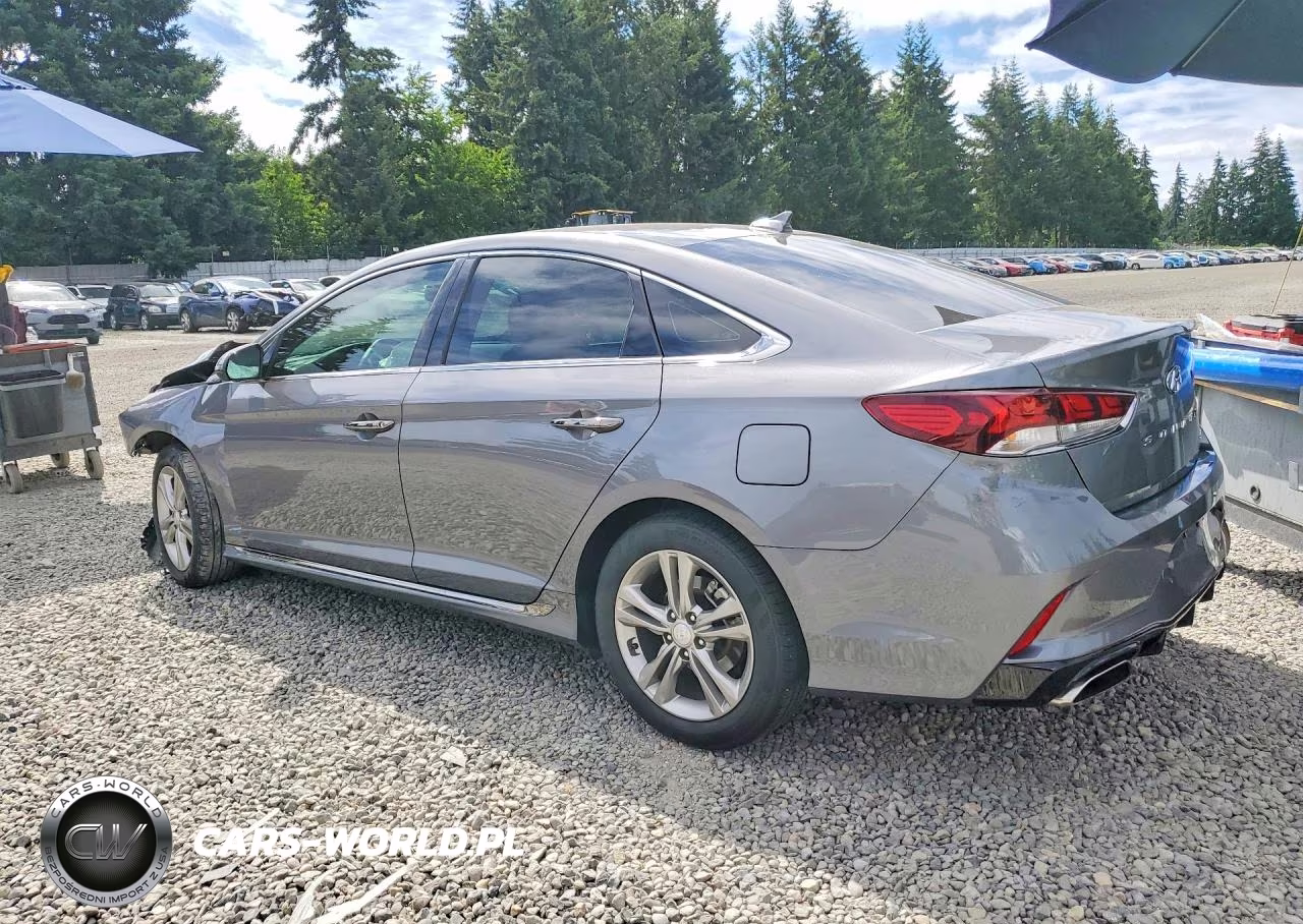 2019 Hyundai Sonata Sport VIN:5NPE34AF1KH812923 - 2