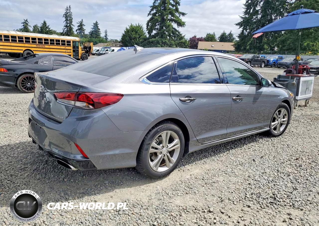 2019 Hyundai Sonata Sport VIN:5NPE34AF1KH812923 - 3