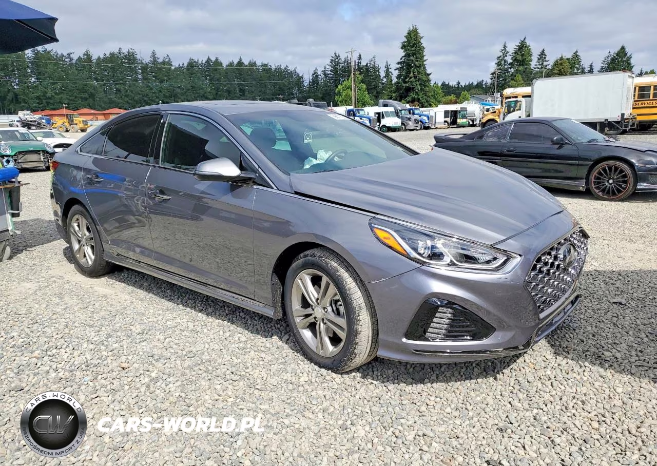 2019 Hyundai Sonata Sport VIN:5NPE34AF1KH812923 - 4
