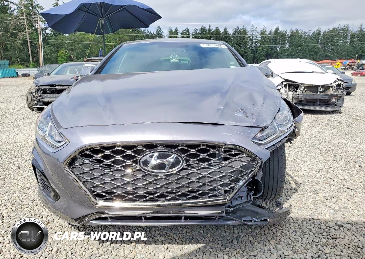 2019 Hyundai Sonata Sport VIN:5NPE34AF1KH812923 - 5