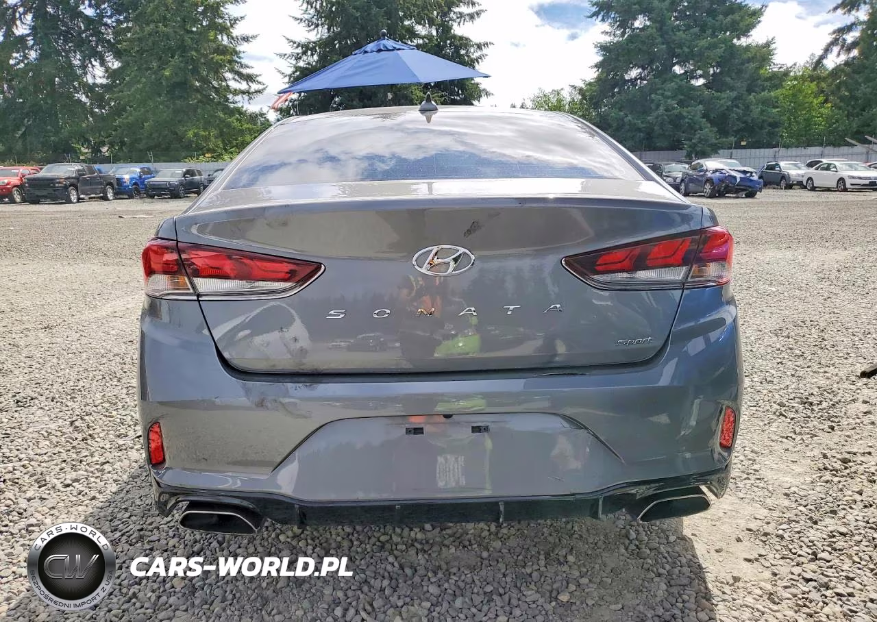 2019 Hyundai Sonata Sport VIN:5NPE34AF1KH812923 - 6
