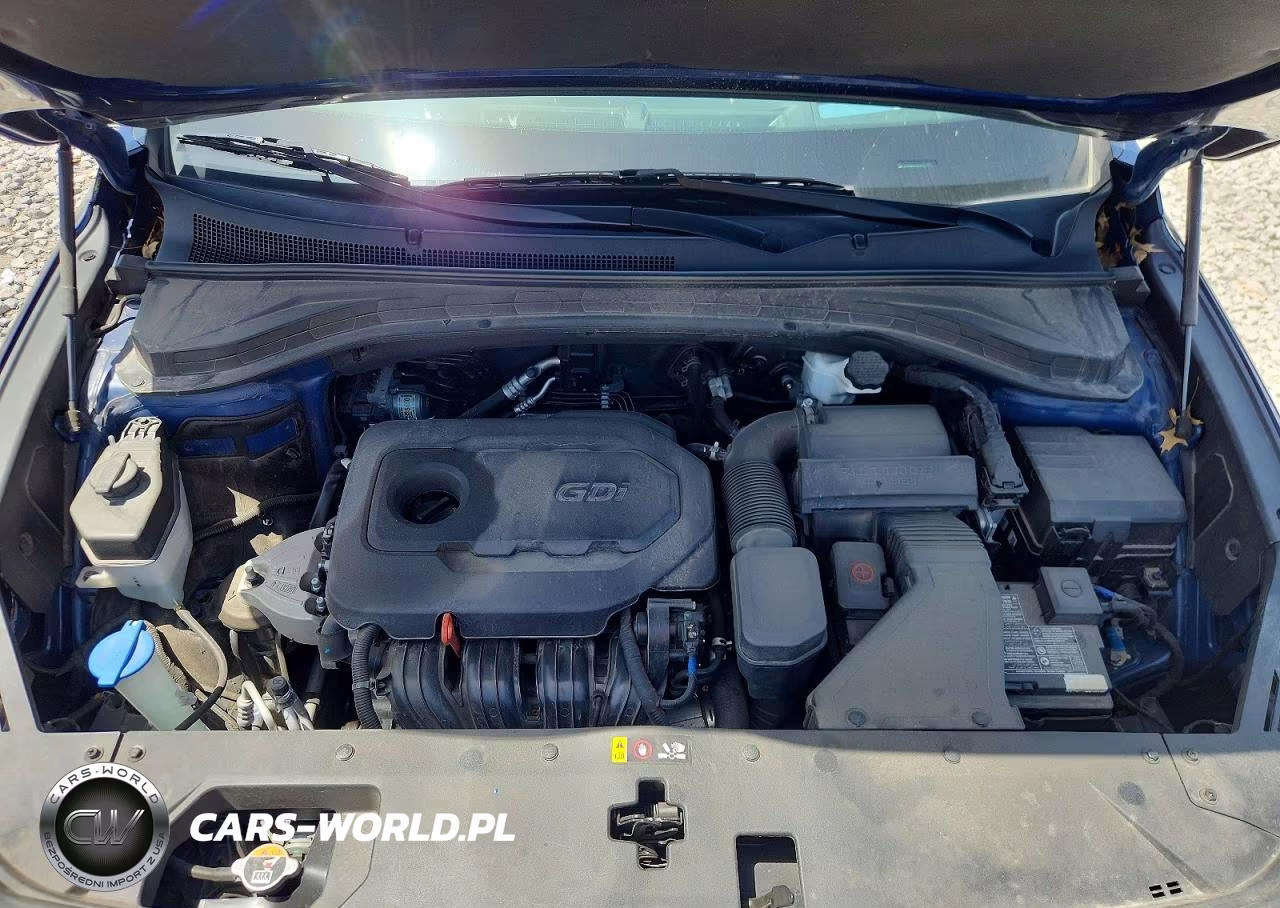 2020 Hyundai Santa Fe Limited VIN:5NMS5CAD3LH171911 - 12