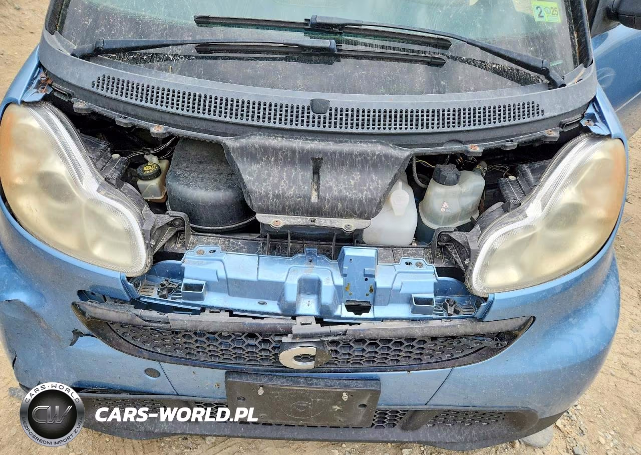 2013 Smart Fortwo Pure VIN:WMEEJ3BAXDK617007 - 11