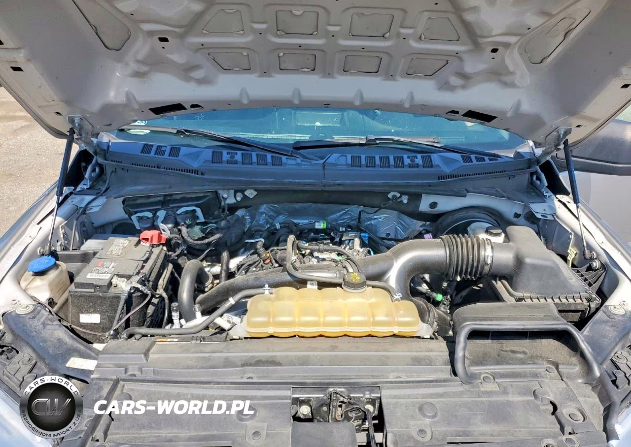 2020 Ford F150 Supercrew VIN:1FTEW1CP7LKE85135 - 11