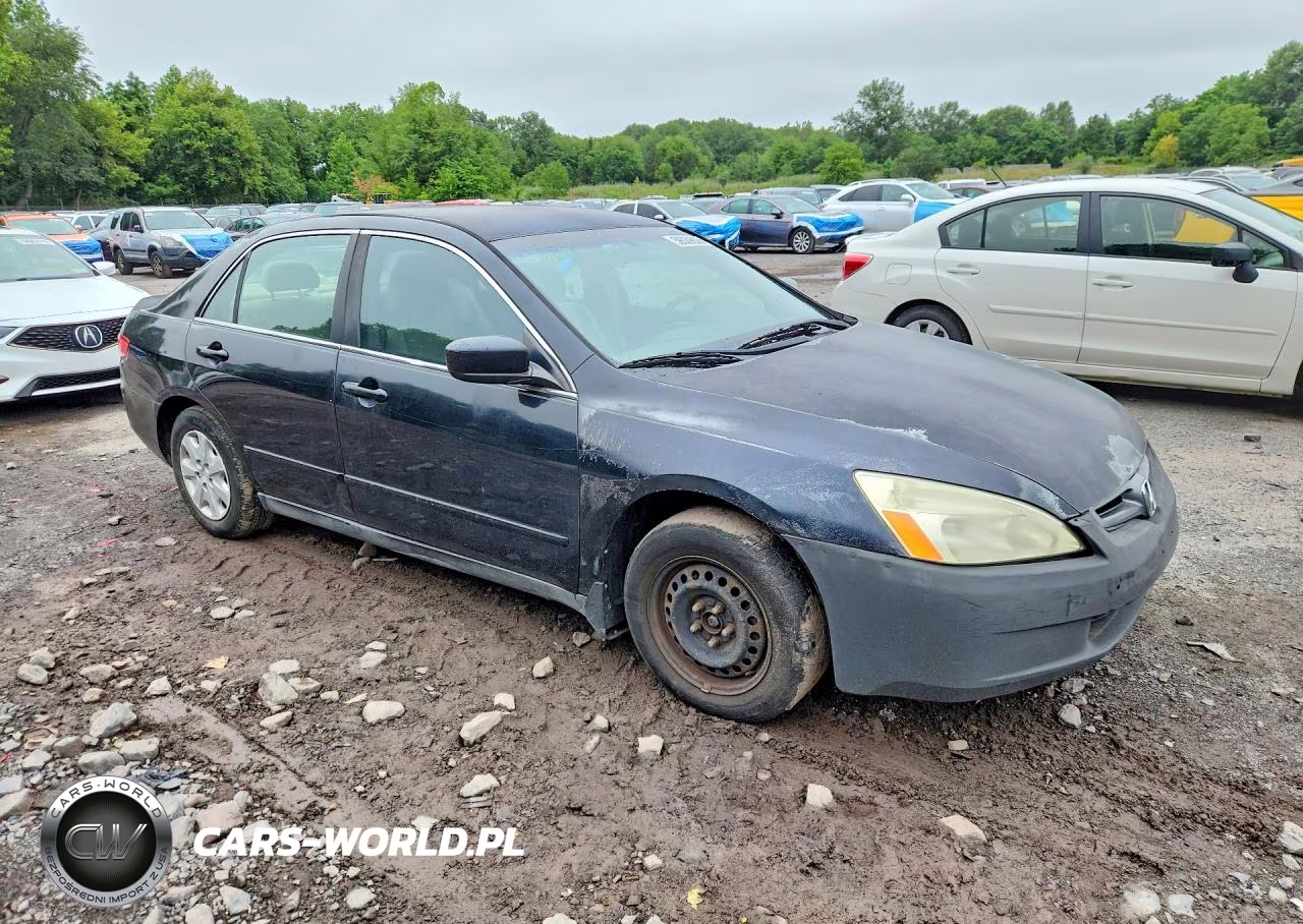 2004 Honda Accord Lx VIN:1HGCM56314A141547 - 4