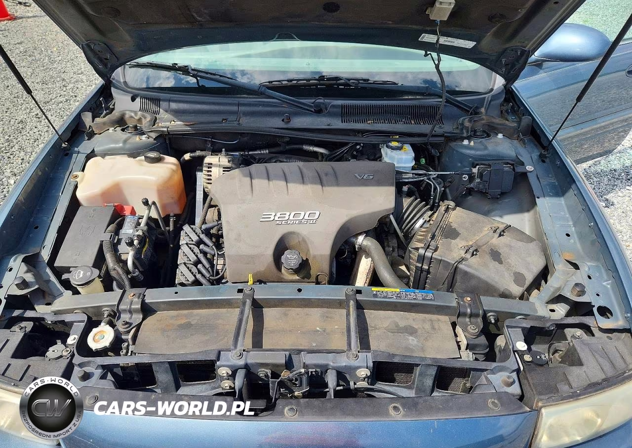 2002 Buick Lesabre Custom VIN:1G4HP54K82U252898 - 11