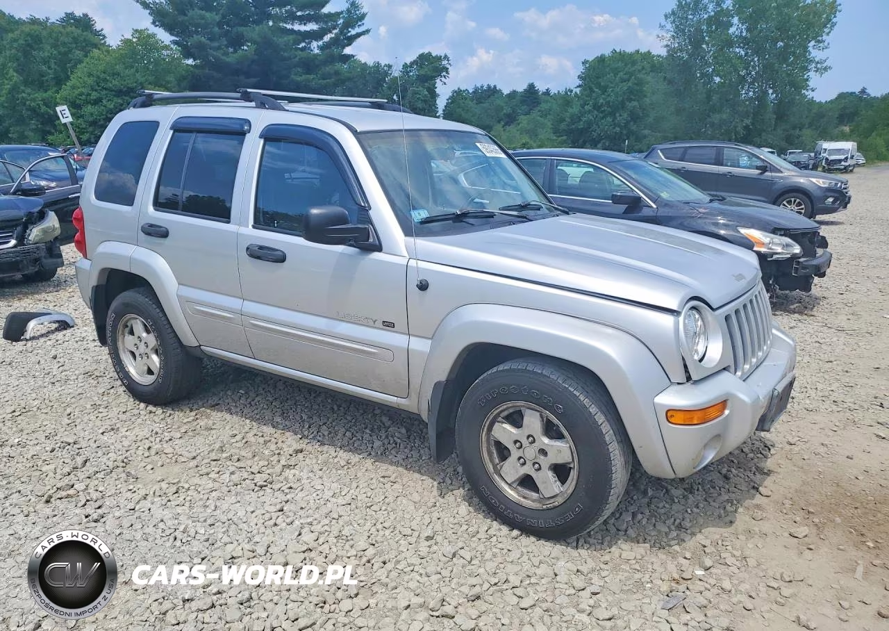 2002 Jeep Liberty Limited VIN:1J4GL58K42W326354 - 4