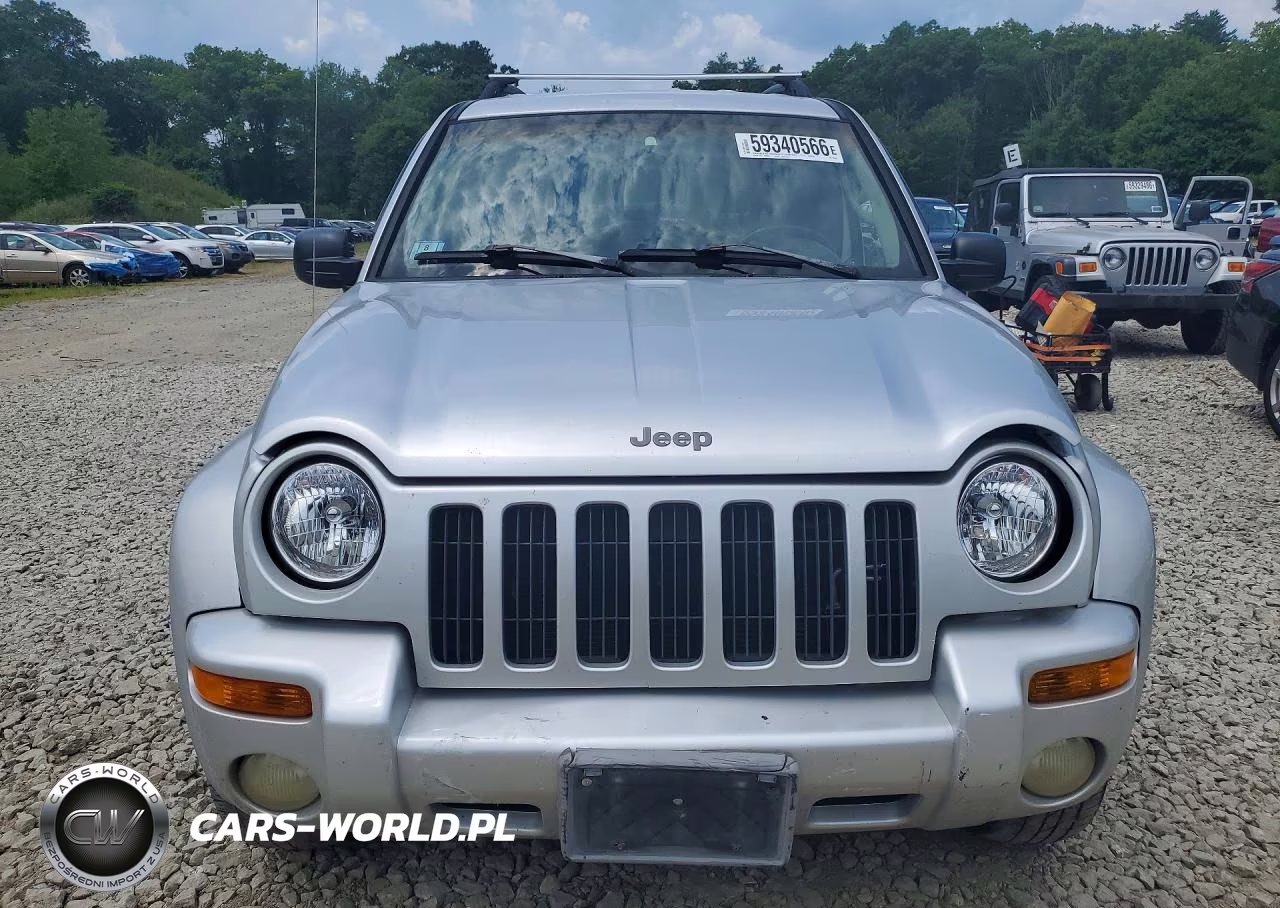 2002 Jeep Liberty Limited VIN:1J4GL58K42W326354 - 5
