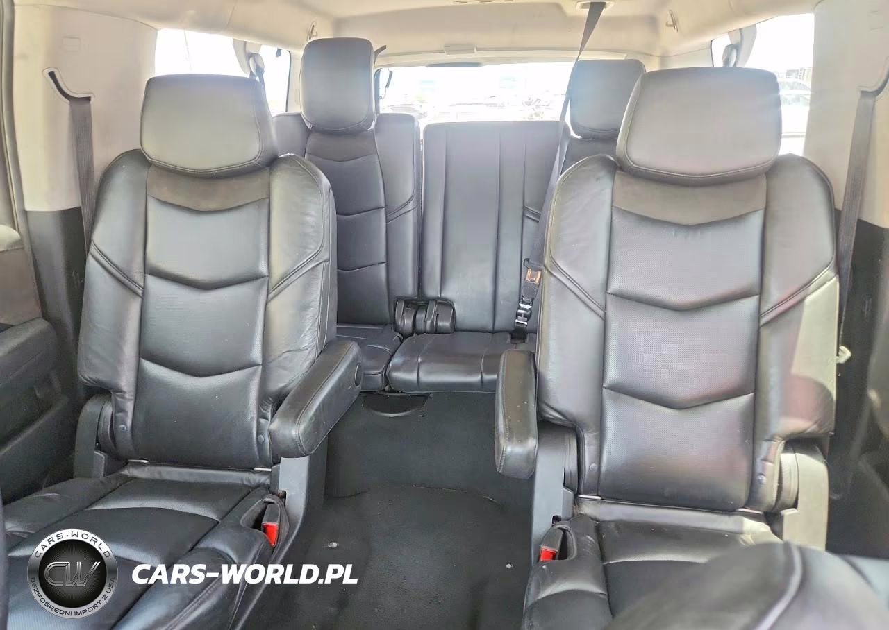 2020 Cadillac Escalade Esv Luxury VIN:1GYS4HKJ7LR113858 - 10