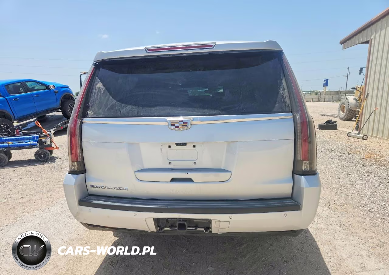 2020 Cadillac Escalade Esv Luxury VIN:1GYS4HKJ7LR113858 - 6
