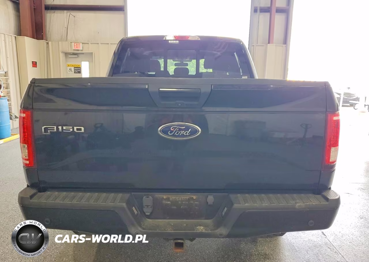 2015 Ford F150 Supercrew VIN:1FTEW1EG3FFC83533 - 6