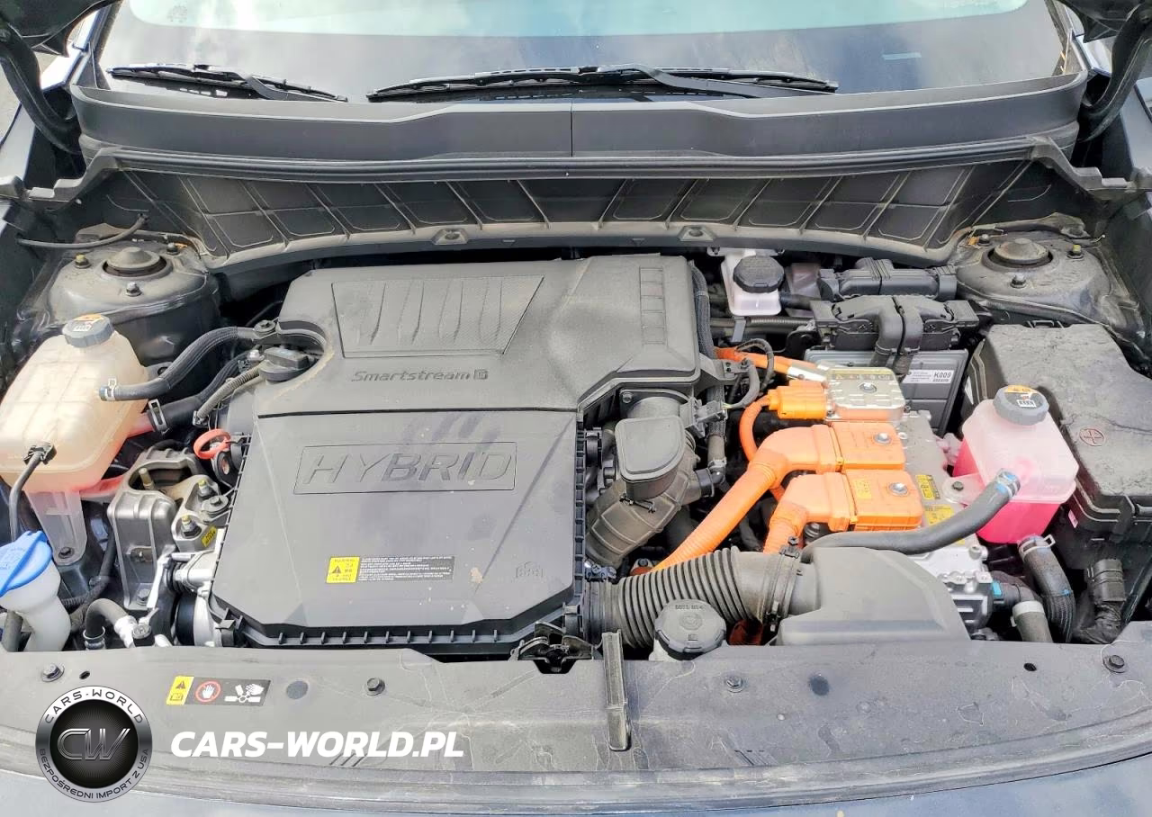 2024 Kia Niro Ex VIN:KNDCR3LE8R5149171 - 12