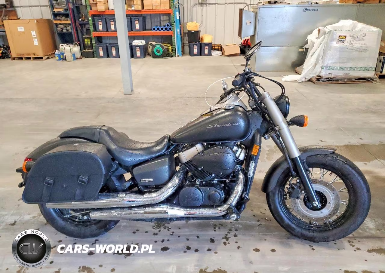 2013 Honda Vt750 C2B
