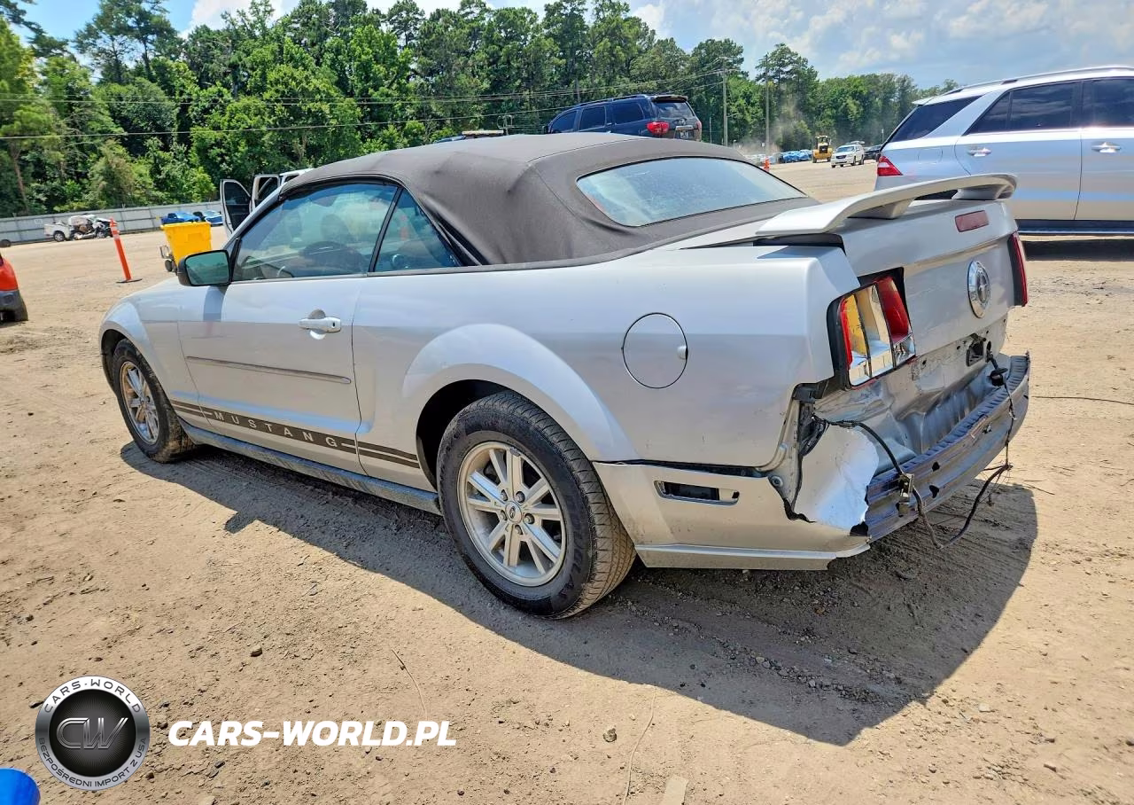 2005 Ford Mustang VIN:1ZVFT84N655215976 - 2