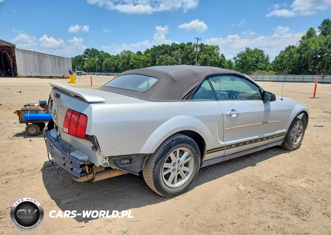 2005 Ford Mustang VIN:1ZVFT84N655215976 - 3