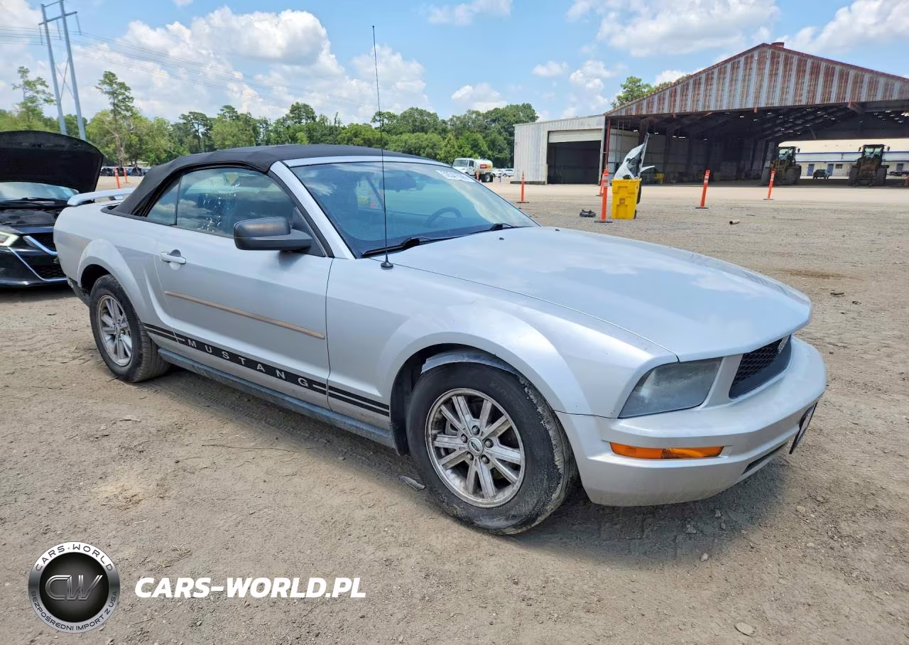 2005 Ford Mustang VIN:1ZVFT84N655215976 - 4