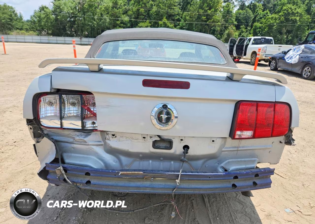 2005 Ford Mustang VIN:1ZVFT84N655215976 - 6