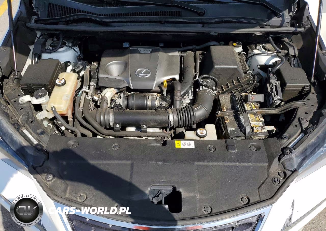 2019 Lexus Nx 300 Base VIN:JTJBARBZ6K2183303 - 12