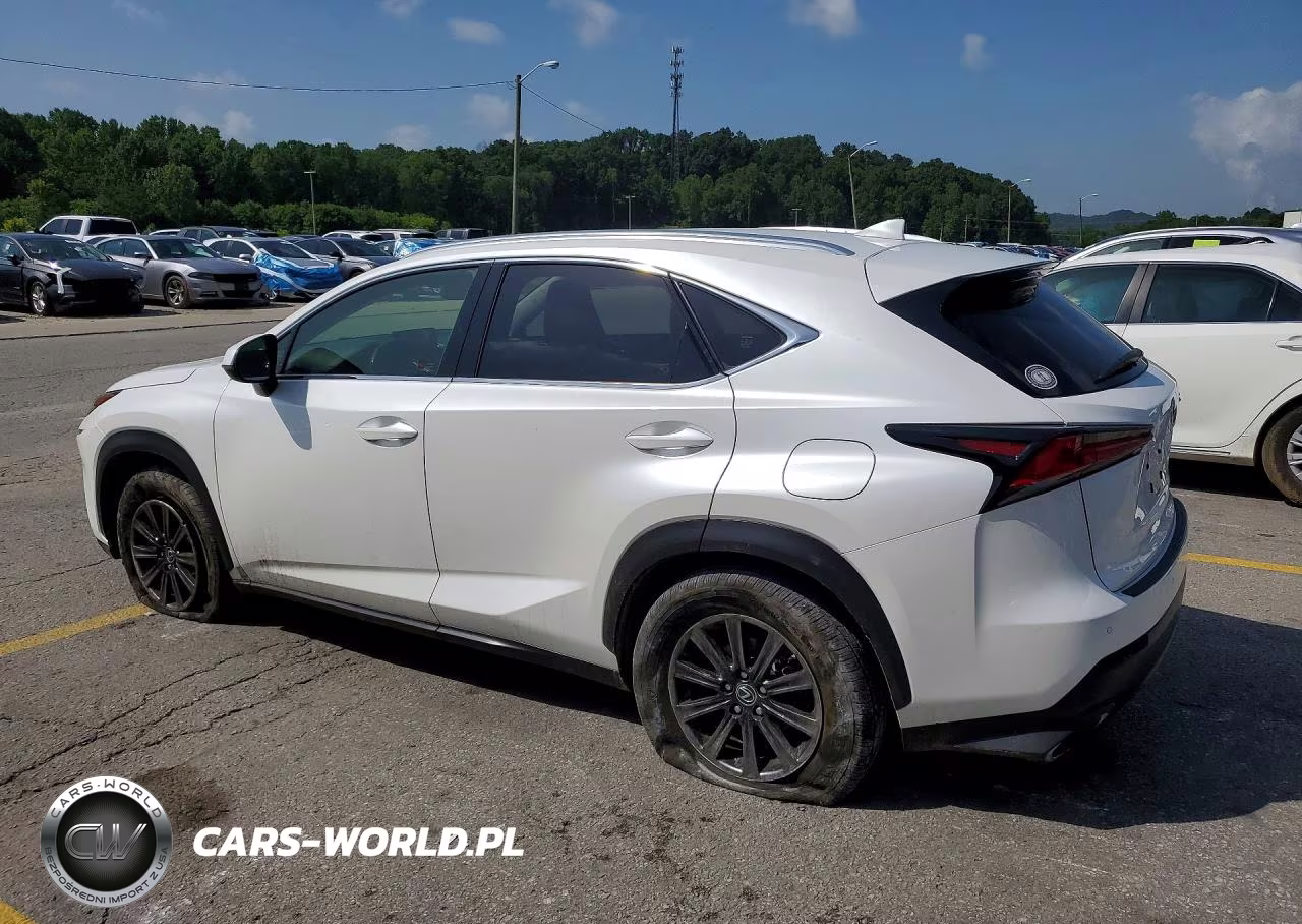 2019 Lexus Nx 300 Base VIN:JTJBARBZ6K2183303 - 2