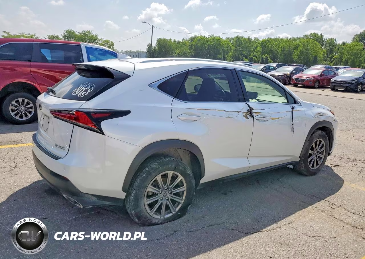 2019 Lexus Nx 300 Base VIN:JTJBARBZ6K2183303 - 3