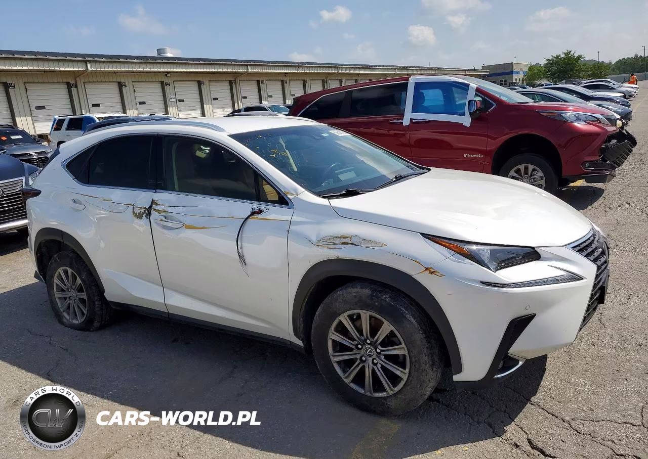 2019 Lexus Nx 300 Base VIN:JTJBARBZ6K2183303 - 4