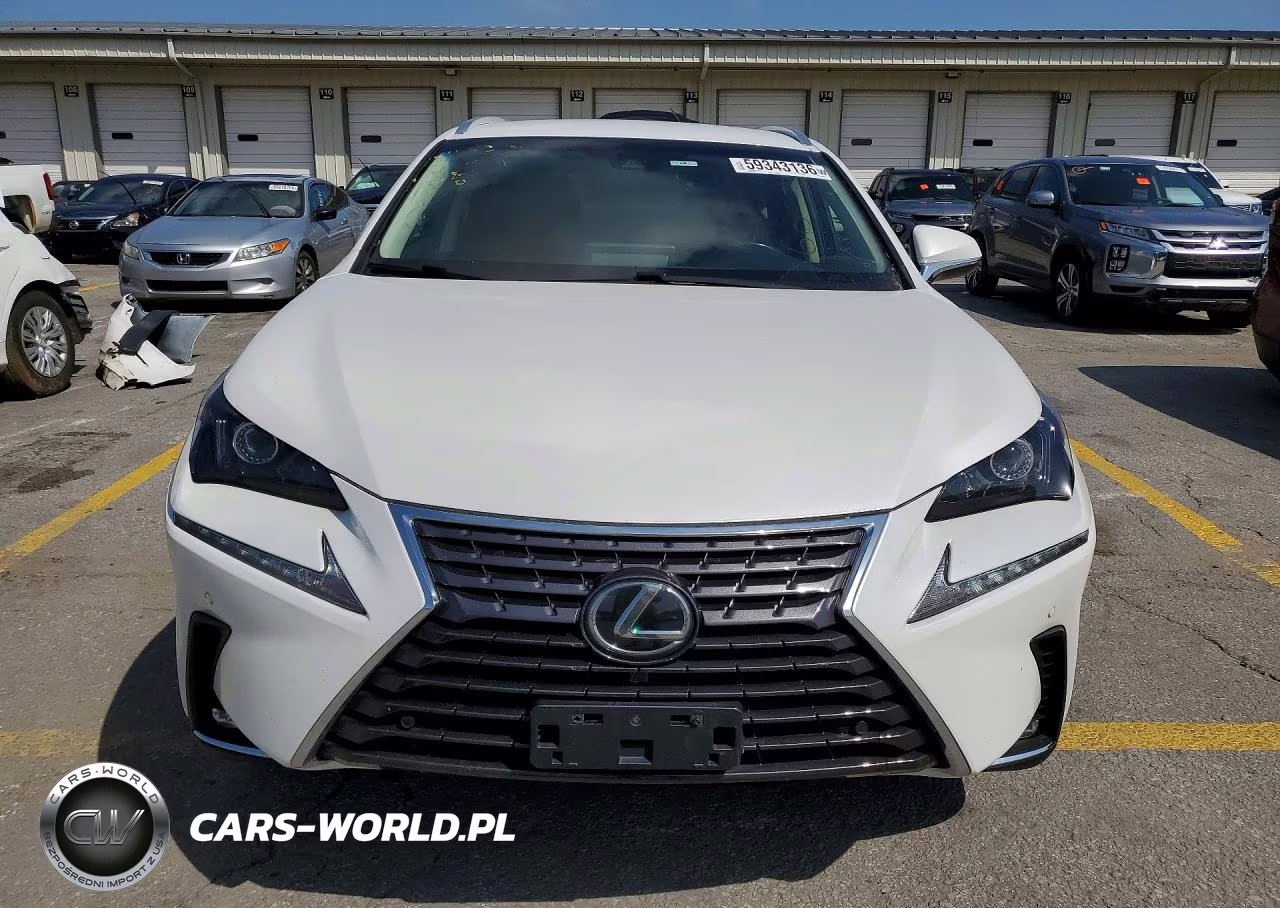 2019 Lexus Nx 300 Base VIN:JTJBARBZ6K2183303 - 5