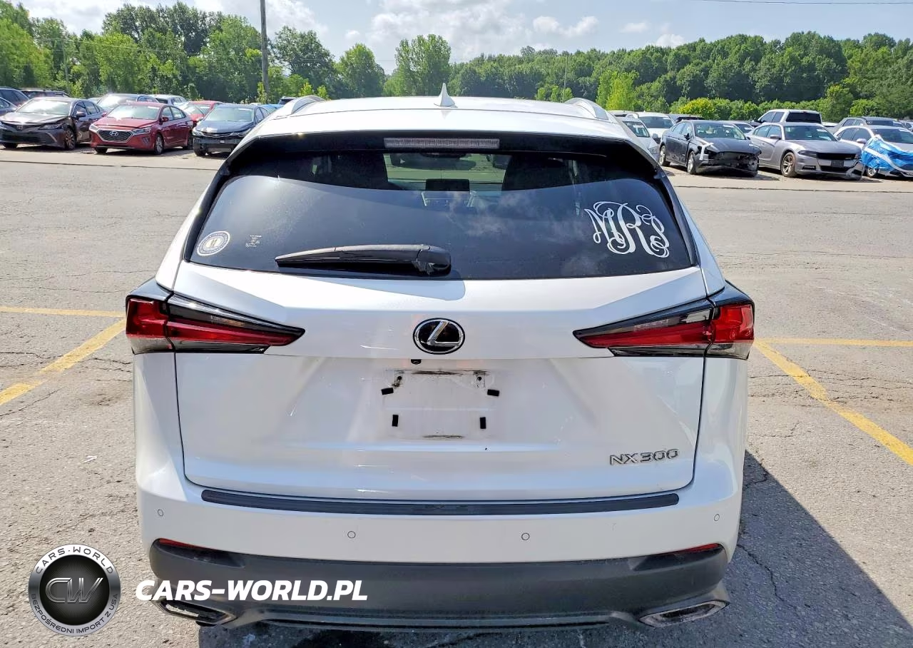 2019 Lexus Nx 300 Base VIN:JTJBARBZ6K2183303 - 6