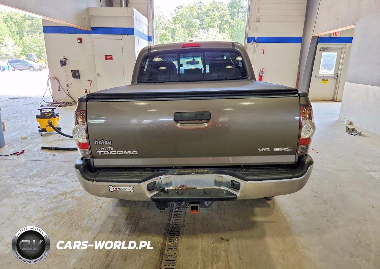2010 Toyota Tacoma Double Cab VIN:3TMLU4EN4AM038181 - 6