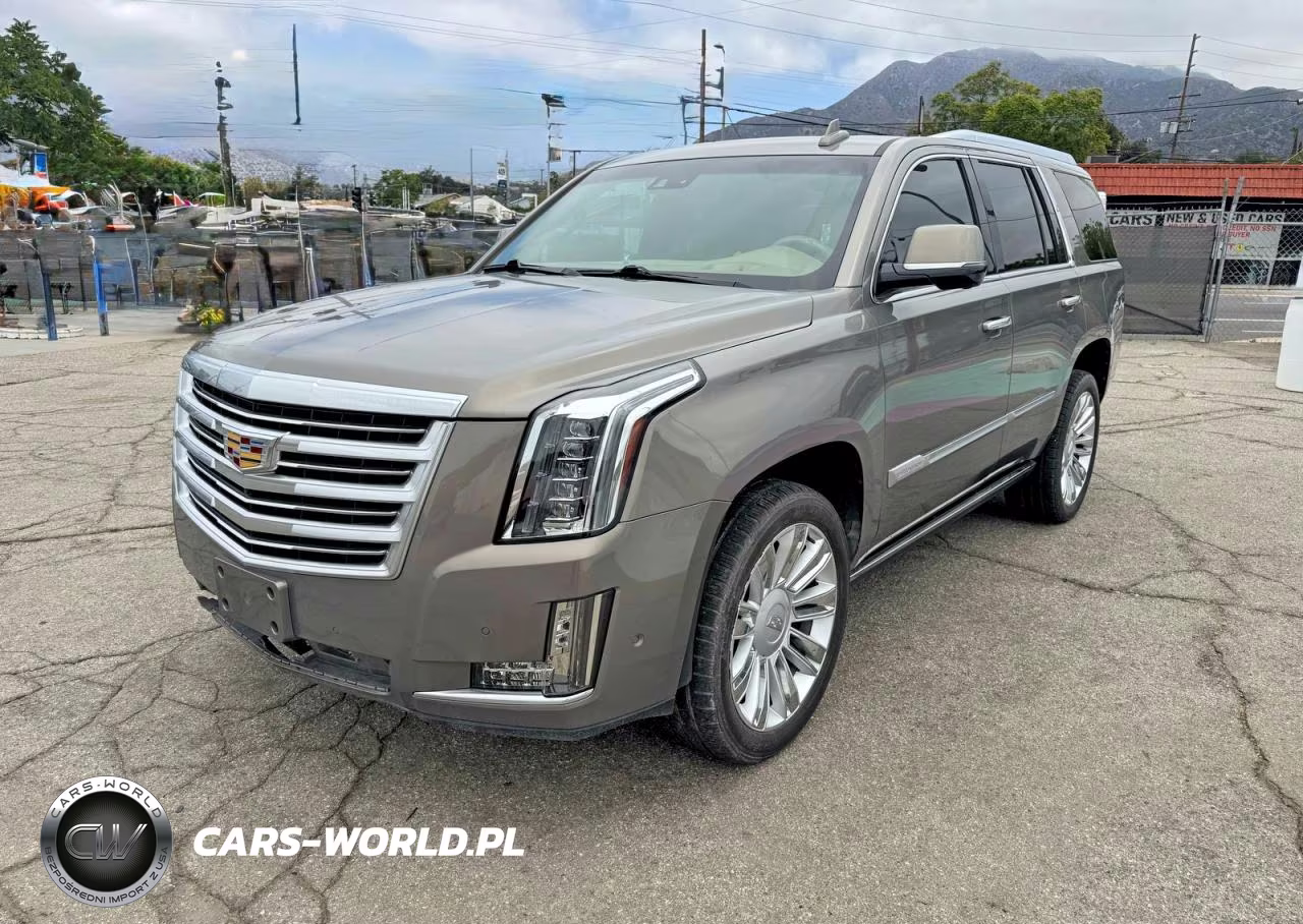 2019 Cadillac Escalade Platinum VIN:1GYS3DKJ7KR173584 - 2