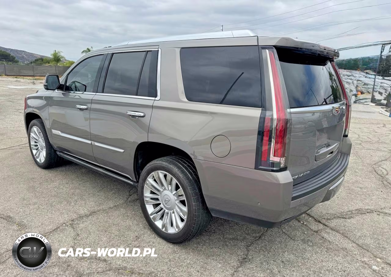 2019 Cadillac Escalade Platinum VIN:1GYS3DKJ7KR173584 - 3