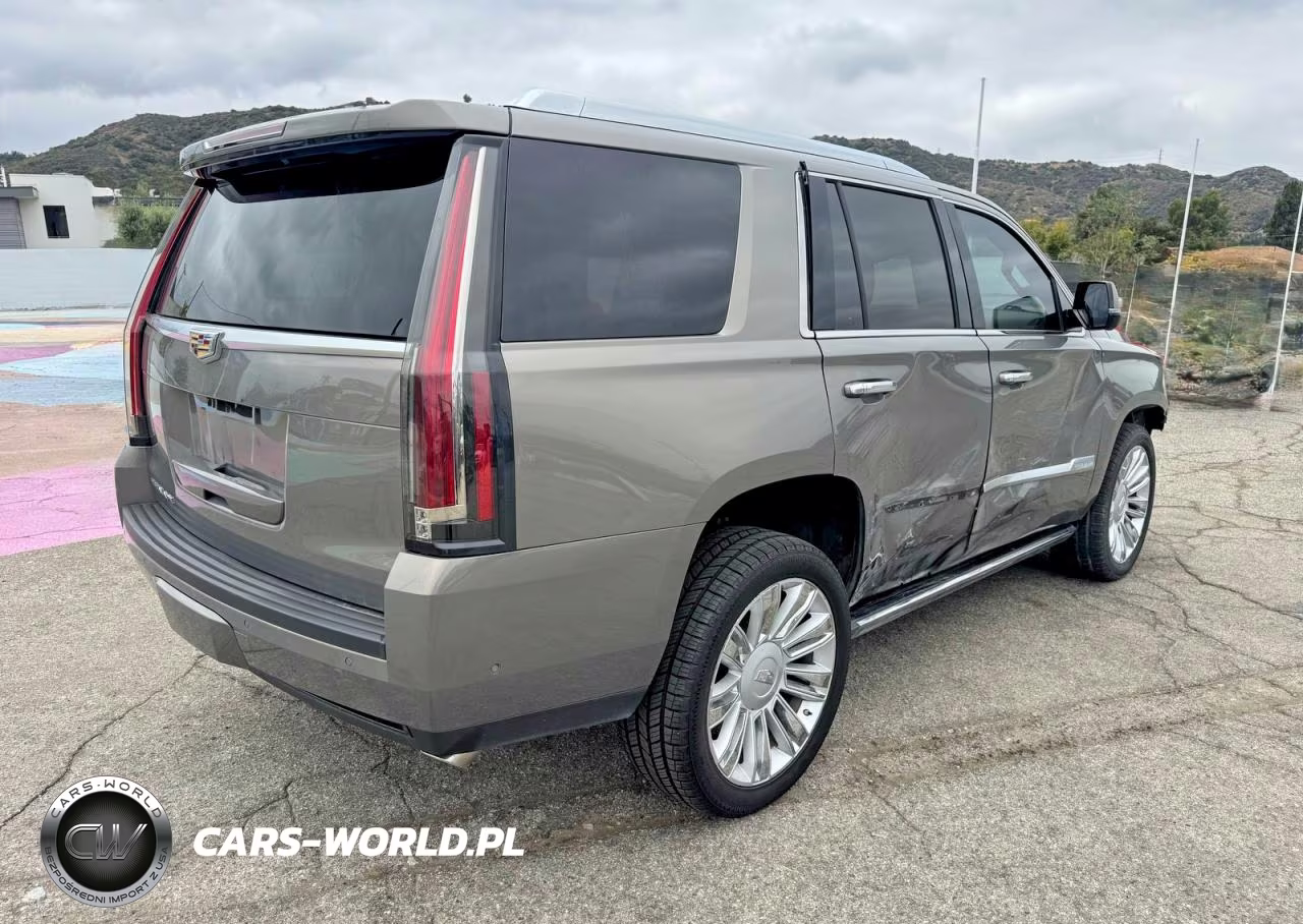 2019 Cadillac Escalade Platinum VIN:1GYS3DKJ7KR173584 - 4