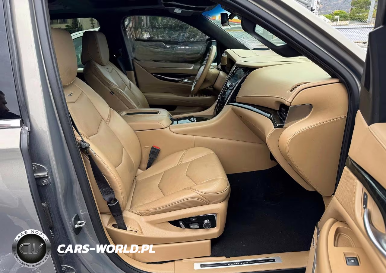 2019 Cadillac Escalade Platinum VIN:1GYS3DKJ7KR173584 - 5