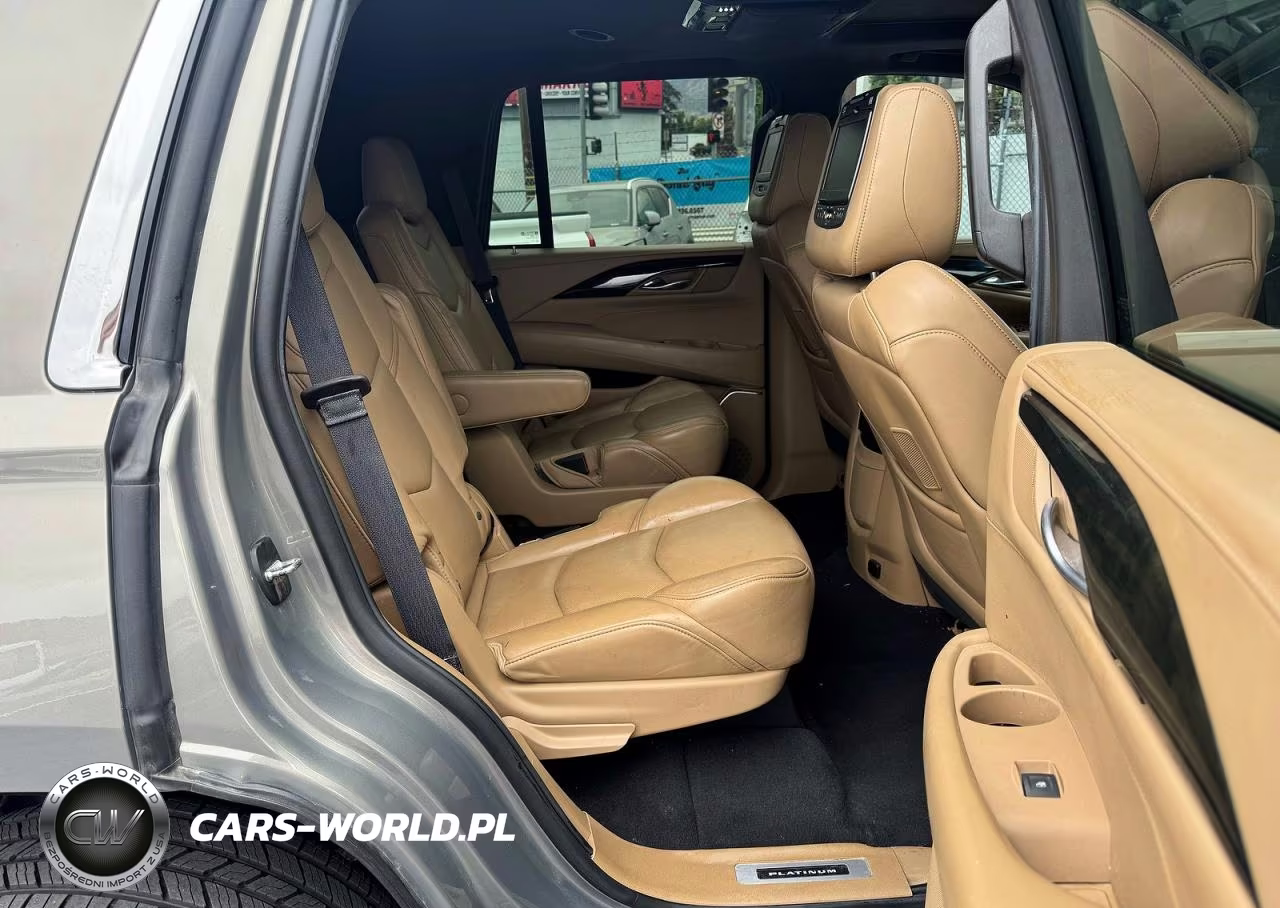 2019 Cadillac Escalade Platinum VIN:1GYS3DKJ7KR173584 - 6
