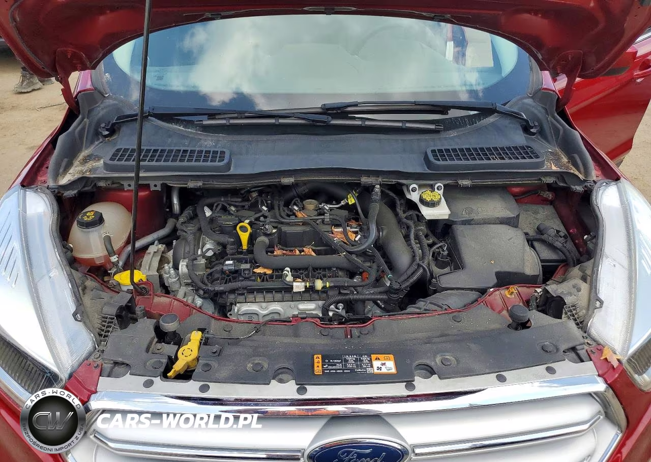 2019 Ford Escape Se VIN:1FMCU0GDXKUC12292 - 12