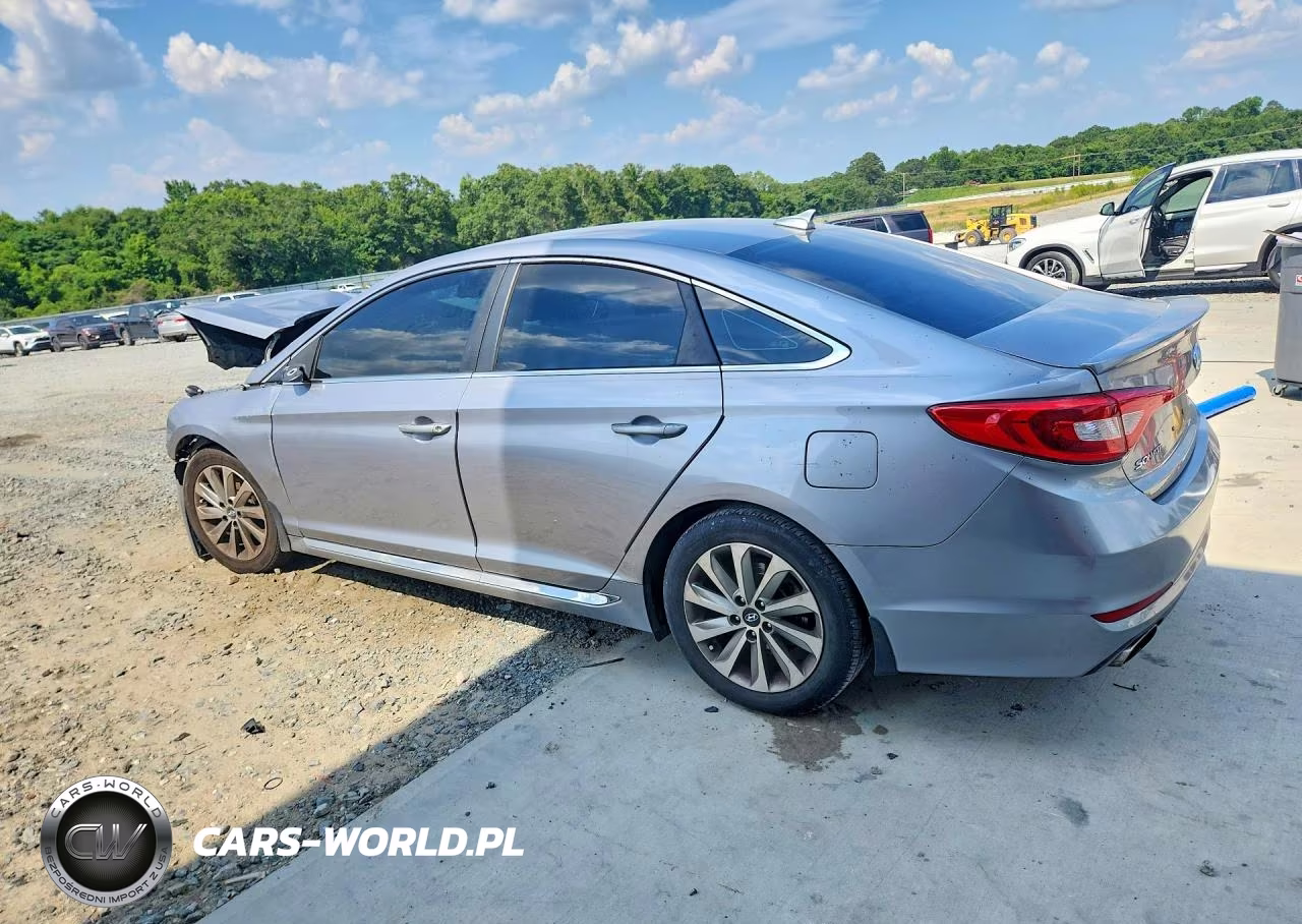 2016 Hyundai Sonata Sport VIN:5NPE34AF5GH391540 - 2