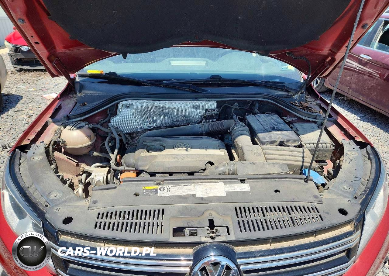 2013 Volkswagen Tiguan S VIN:WVGAV3AX9DW085924 - 12