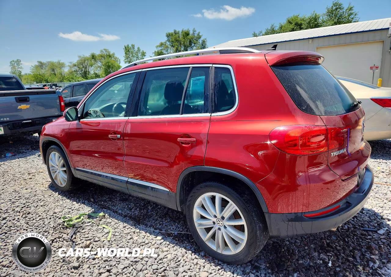 2013 Volkswagen Tiguan S VIN:WVGAV3AX9DW085924 - 2