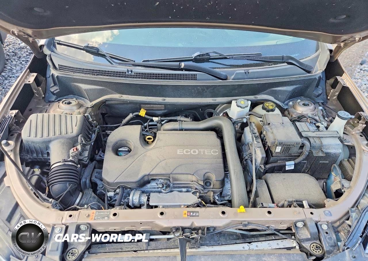 2019 Chevrolet Equinox Lt VIN:2GNAXKEV1K6107267 - 12