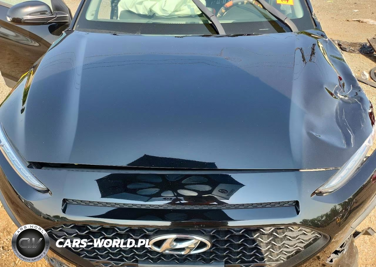 2019 Hyundai Kona Sel VIN:KM8K2CAA9KU389904 - 11