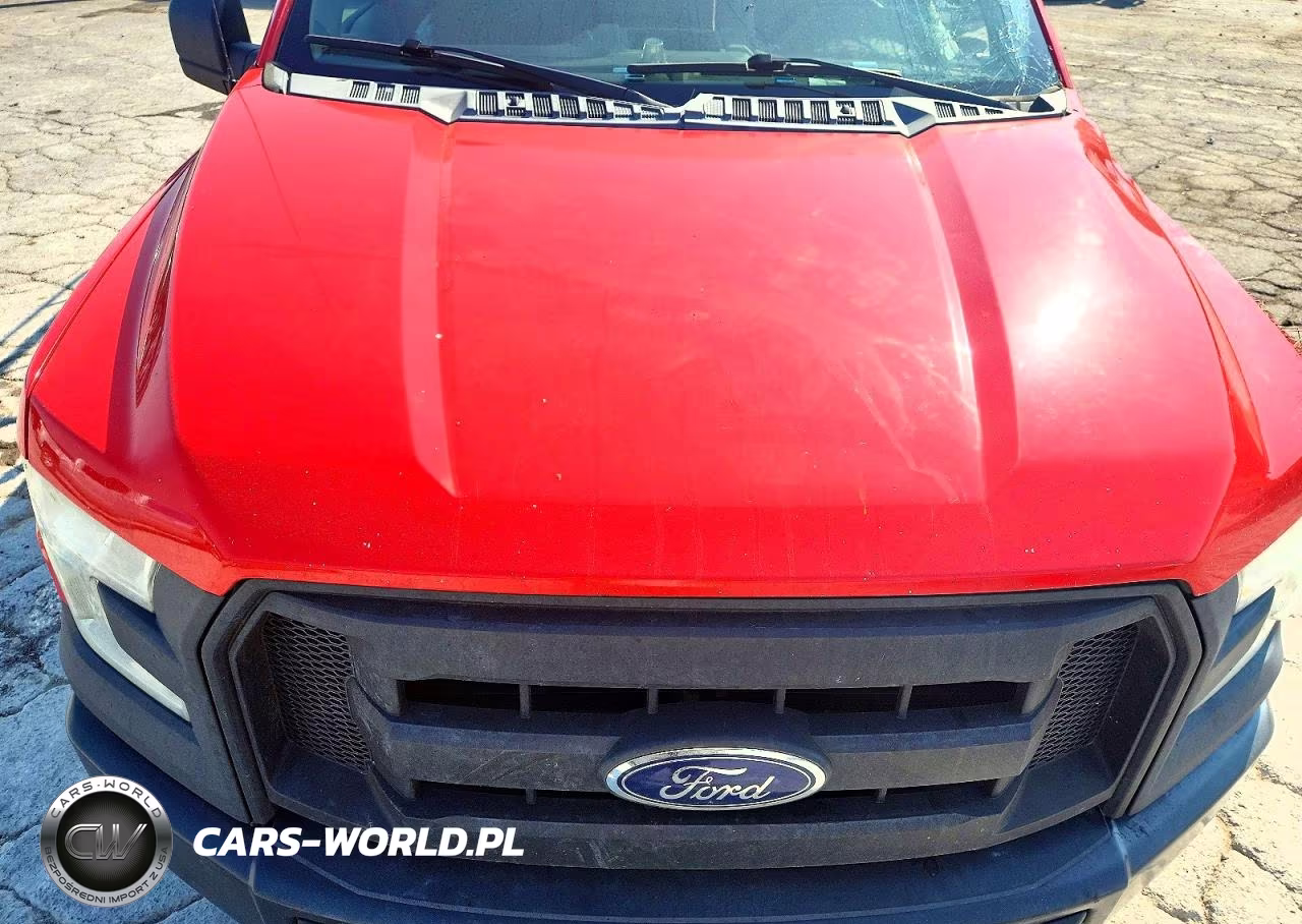 2016 Ford F150 VIN:1FTMF1C84GKD07726 - 11