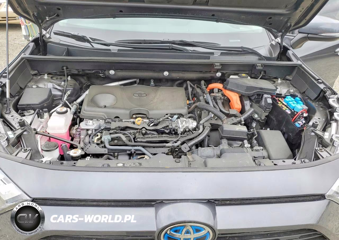 2024 Toyota Rav4 Xle Premium VIN:2T3B6RFV8RW059126 - 12