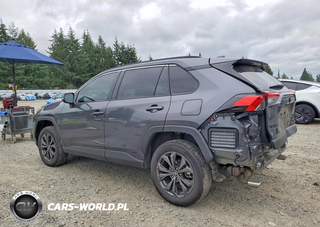2024 Toyota Rav4 Xle Premium VIN:2T3B6RFV8RW059126 - 2