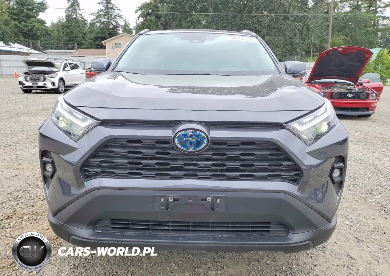 2024 Toyota Rav4 Xle Premium VIN:2T3B6RFV8RW059126 - 5