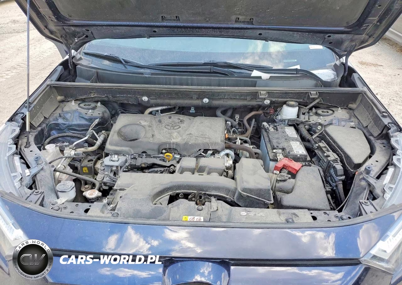 2025 Toyota Rav4 Xle VIN:2T3W1RFV5SW369885 - 12